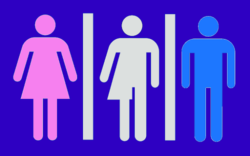 cfp-gender-studies