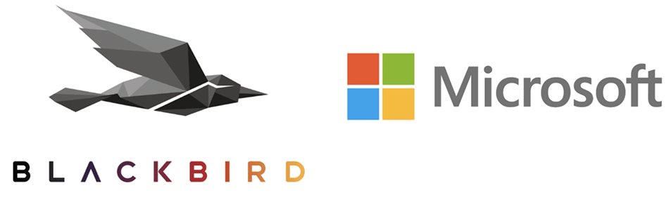 Blackbird