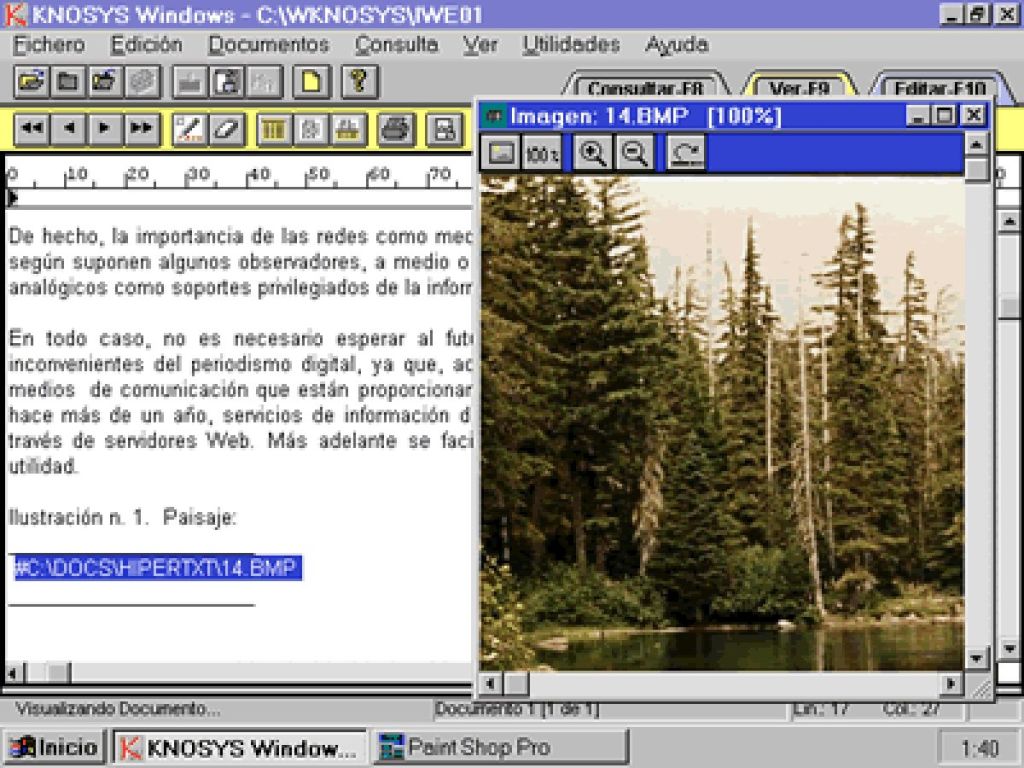 Knosys - Dentro de una ventana independiente pueden visualizarse objetos multimedia, como una imagen en este caso. EI texto resaltado (en color) es el anclaje a esta imagen.