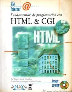 Libro Fundamentos de programación con html & CGI